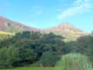 Site