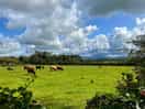 Lovely views