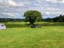 My tent under the tree