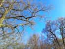 Blue skies