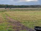 Plenty of open space