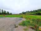 Photo of site monday morning as i left