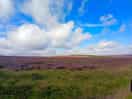 Just 5 minutes up the road, andyou get to enjoy views like these!