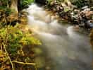Stream by the campsite