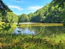 Lovely lake