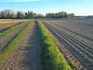 Walk nearby