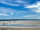 Low tide