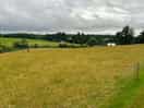 Beautiful scenic views - though on this side be careful of the electric fence.