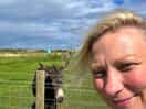 Cheeky donkey asking for food