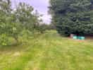 The grass area where you can build your tent.