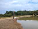 Pond