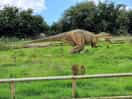 Dino