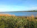 River severn