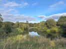 View from walk round the lake