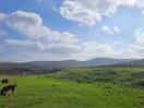 View from site