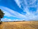 Fields near by