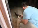 The owner’s cat agnes came to see us, she is so cute