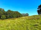 Beautiful walks nearby