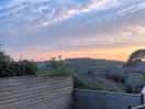 The view