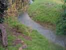Just behind the site