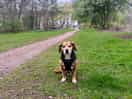 Old boy keeping up