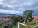 Views