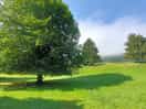 The campsite