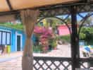 View at bar