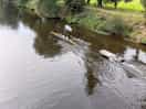 River walk