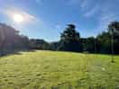 The orchard field