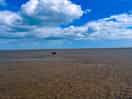 Beach is massive