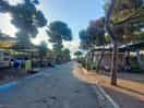 Pitches for caravans and motorhomes.