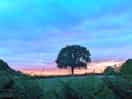 The local area at sunset