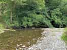 Shallow river