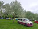 Under the blossom tree