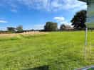 The site