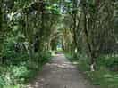 The walk to the beach.