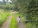 Walking downhill