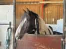 Marlbrook farm