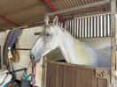 Marlbrook farm