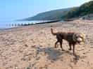 Short walk to beach