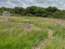 Paths to toilets and showers