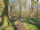 Beautiful sunny afternoon walk!