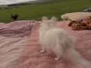 On guard