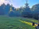 Nether hall farm campsite