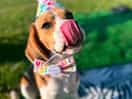 Photo for cuteness, celebrating his birthday at cedar valley