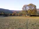 Campsite