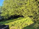Nether hall farm campsite