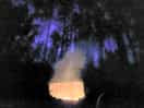 Campfire in the woods at night, listening to the owls