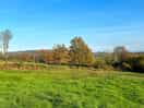 Walk in the country
